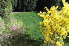 2018-04-15 Wiosna w Sochowej Zagrodzie (39)