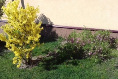 2018-04-15 Wiosna w Sochowej Zagrodzie (40)