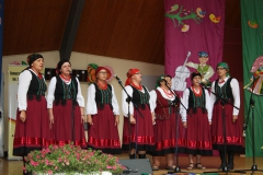 2018-06-03 Przysucha - Dni Kolberga (112)