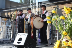 2018-08-05 Końskie - Muzykanty (62)