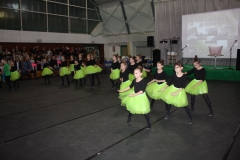 2019-02-02 Rzeczyca (34)