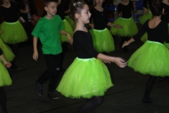 2019-02-02 Rzeczyca (37)