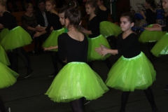 2019-02-02 Rzeczyca (38)