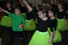 2019-02-02 Rzeczyca (39)