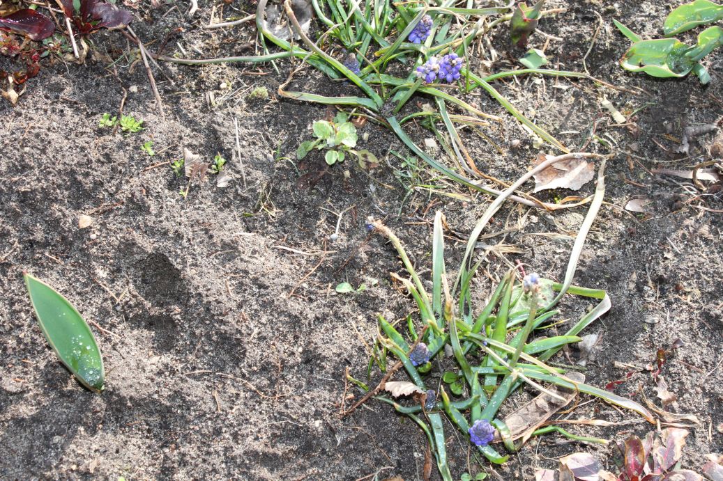 2019-03-17 Sochowa Zagroda - wiosna (23)