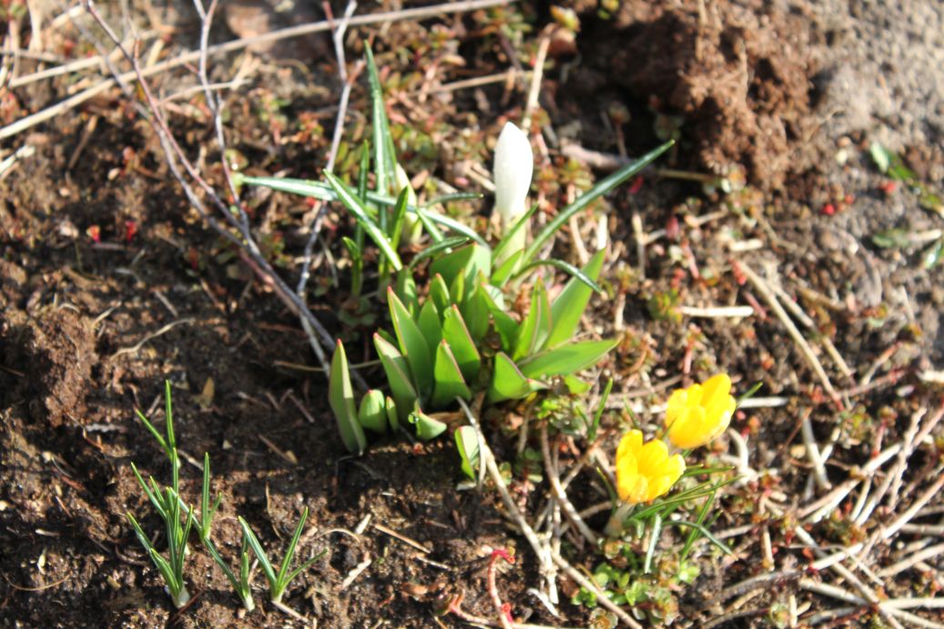 2019-03-17 Sochowa Zagroda - wiosna (26)