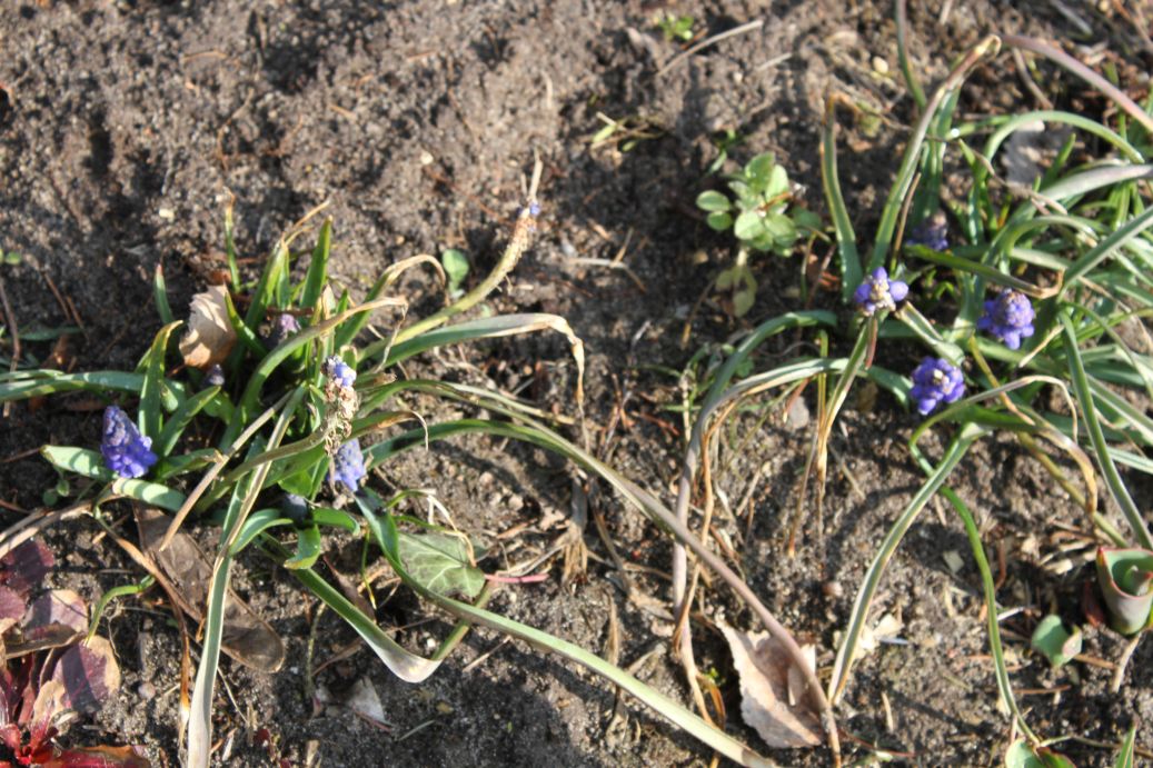 2019-03-17 Sochowa Zagroda - wiosna (27)