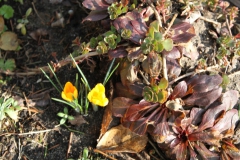 2019-03-17 Sochowa Zagroda - wiosna (28)