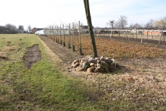 2019-03-17 Sochowa Zagroda - wiosna (43)