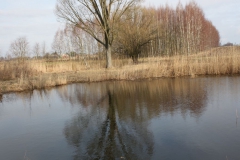 2019-03-17 Sochowa Zagroda - wiosna (44)