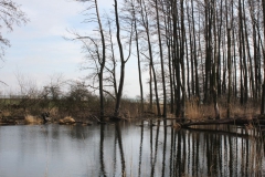 2019-03-17 Sochowa Zagroda - wiosna (45)