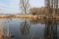 2019-03-17 Sochowa Zagroda - wiosna (46)