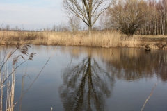 2019-03-17 Sochowa Zagroda - wiosna (47)