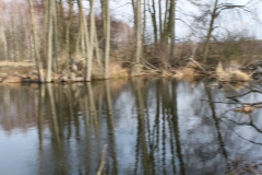2019-03-17 Sochowa Zagroda - wiosna (49)