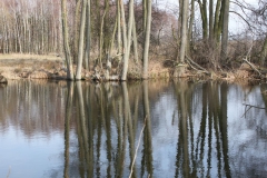 2019-03-17 Sochowa Zagroda - wiosna (52)