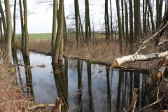 2019-03-17 Sochowa Zagroda - wiosna (53)