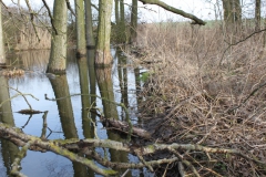 2019-03-17 Sochowa Zagroda - wiosna (56)