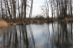 2019-03-17 Sochowa Zagroda - wiosna (57)