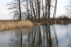 2019-03-17 Sochowa Zagroda - wiosna (58)