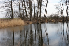 2019-03-17 Sochowa Zagroda - wiosna (59)