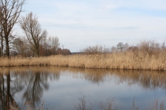 2019-03-17 Sochowa Zagroda - wiosna (60)