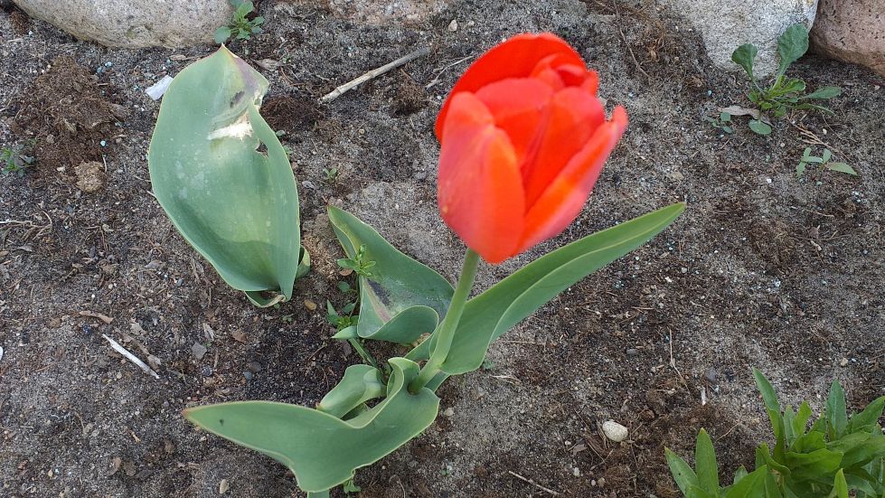 2019-04-22 Sochowa Zagroda - Wielkanoc (21)