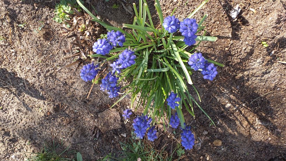 2019-04-22 Sochowa Zagroda - Wielkanoc (22)