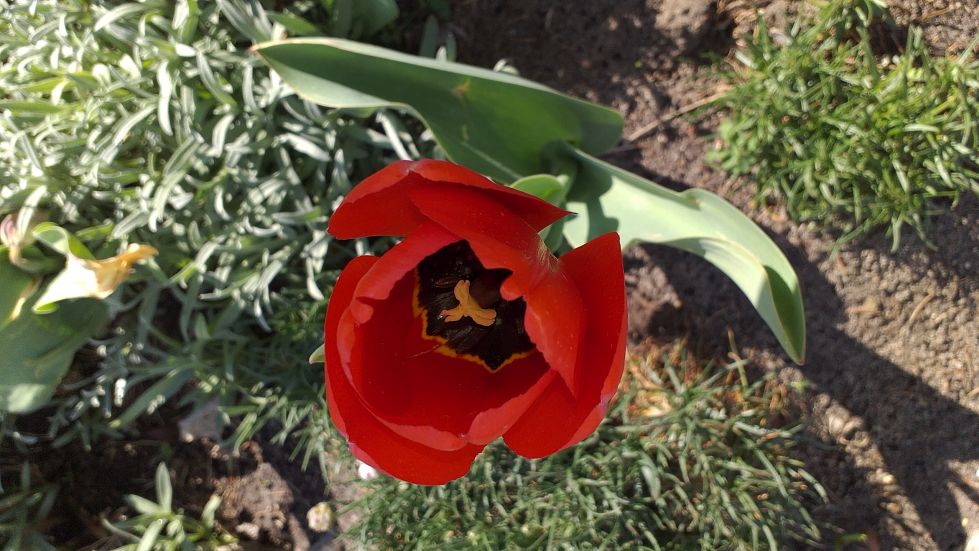 2019-04-22 Sochowa Zagroda - Wielkanoc (23)