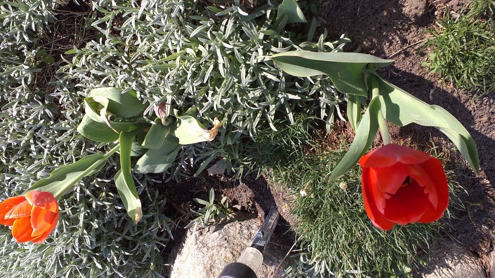 2019-04-22 Sochowa Zagroda - Wielkanoc (24)