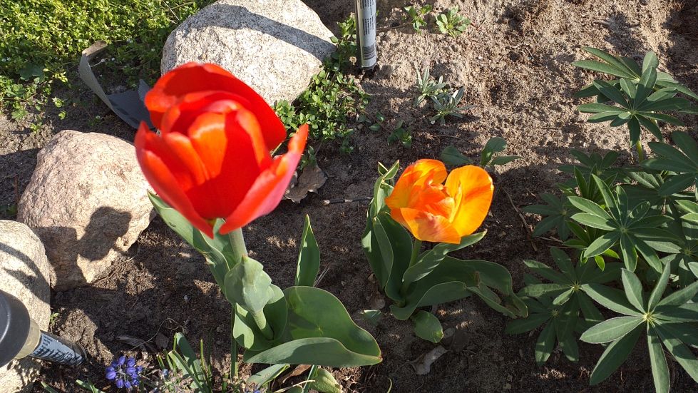 2019-04-22 Sochowa Zagroda - Wielkanoc (25)