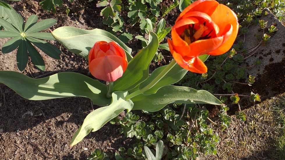 2019-04-22 Sochowa Zagroda - Wielkanoc (26)
