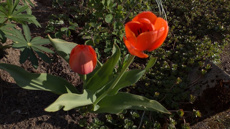 2019-04-22 Sochowa Zagroda - Wielkanoc (27)