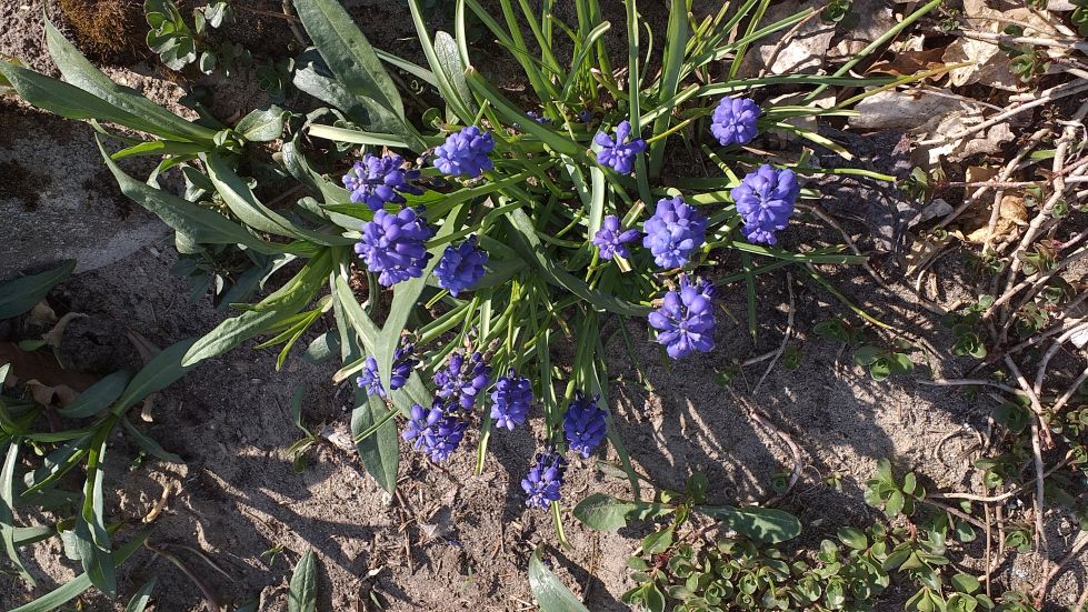 2019-04-22 Sochowa Zagroda - Wielkanoc (28)