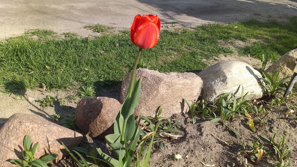 2019-04-22 Sochowa Zagroda - Wielkanoc (29)