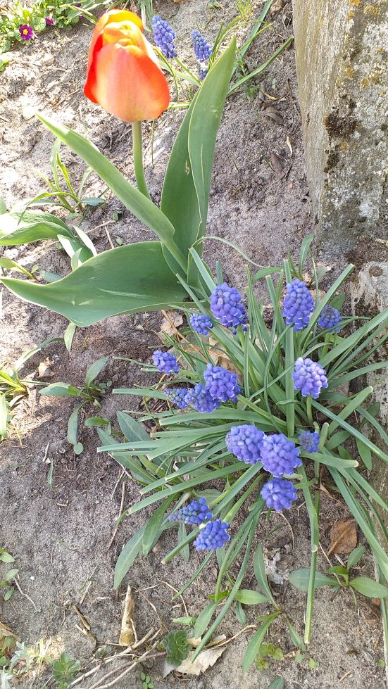 2019-04-22 Sochowa Zagroda - Wielkanoc (30)