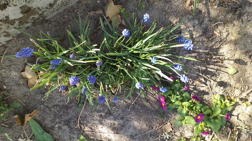 2019-04-22 Sochowa Zagroda - Wielkanoc (31)