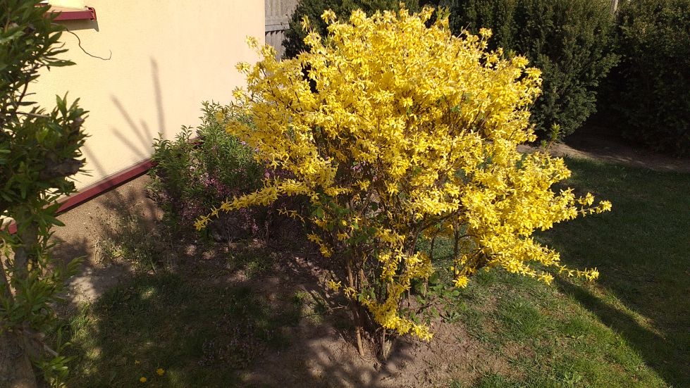 2019-04-22 Sochowa Zagroda - Wielkanoc (33)