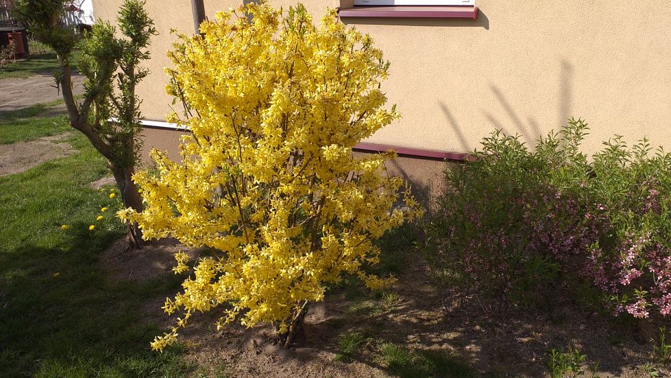 2019-04-22 Sochowa Zagroda - Wielkanoc (34)