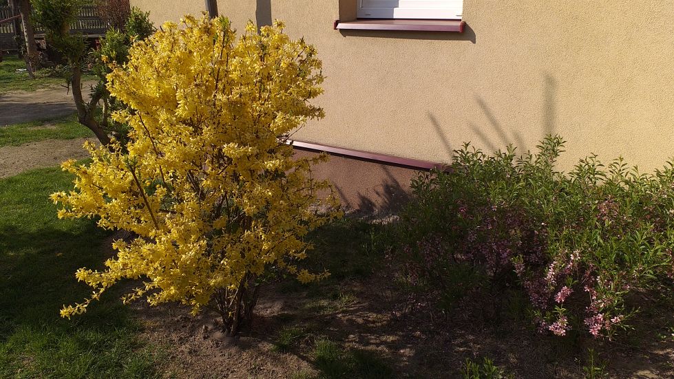 2019-04-22 Sochowa Zagroda - Wielkanoc (35)