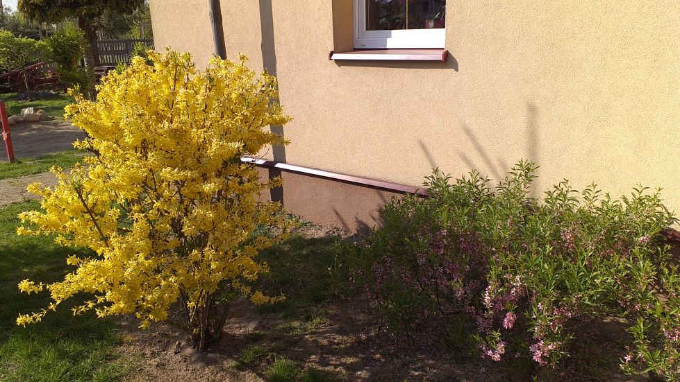 2019-04-22 Sochowa Zagroda - Wielkanoc (36)