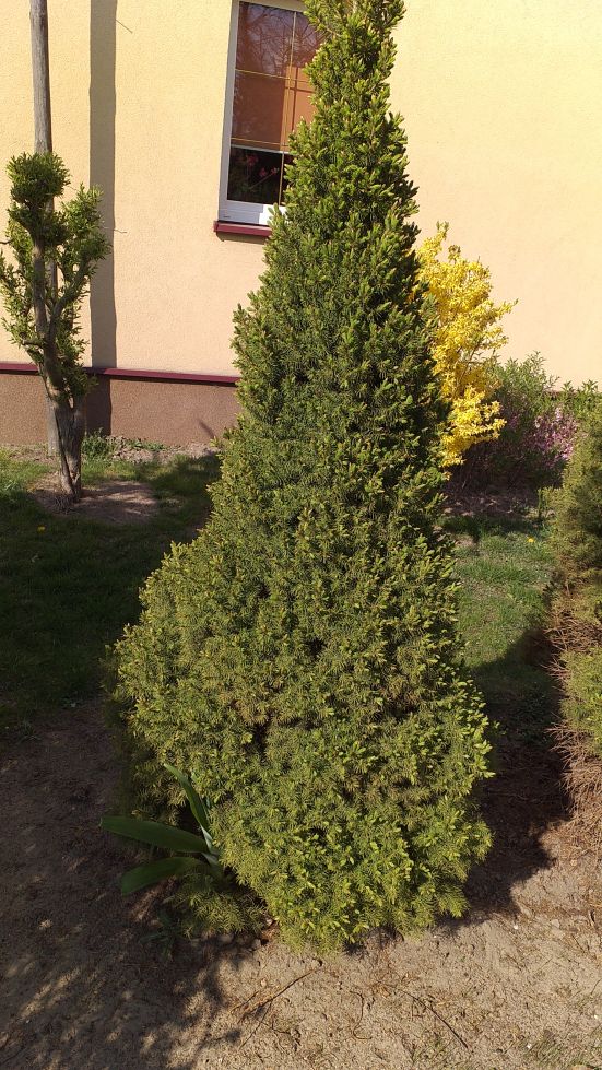 2019-04-22 Sochowa Zagroda - Wielkanoc (40)