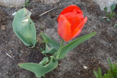 2019-04-22 Sochowa Zagroda - Wielkanoc (21)