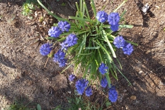 2019-04-22 Sochowa Zagroda - Wielkanoc (22)