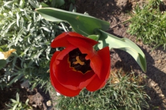 2019-04-22 Sochowa Zagroda - Wielkanoc (23)