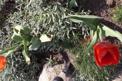 2019-04-22 Sochowa Zagroda - Wielkanoc (24)