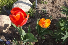2019-04-22 Sochowa Zagroda - Wielkanoc (25)