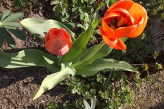 2019-04-22 Sochowa Zagroda - Wielkanoc (26)