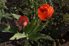 2019-04-22 Sochowa Zagroda - Wielkanoc (27)