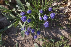 2019-04-22 Sochowa Zagroda - Wielkanoc (28)