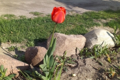 2019-04-22 Sochowa Zagroda - Wielkanoc (29)